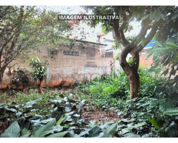 Foto de TERRENO DE 175M²